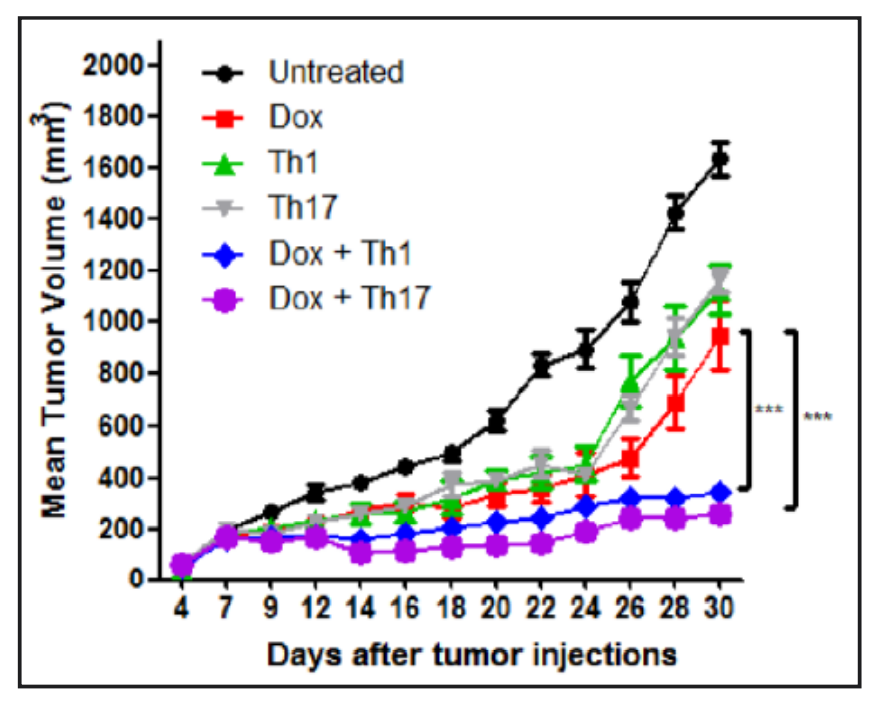 檢測癌癥轉(zhuǎn)移-2.png 檢測癌癥轉(zhuǎn)移-2.png