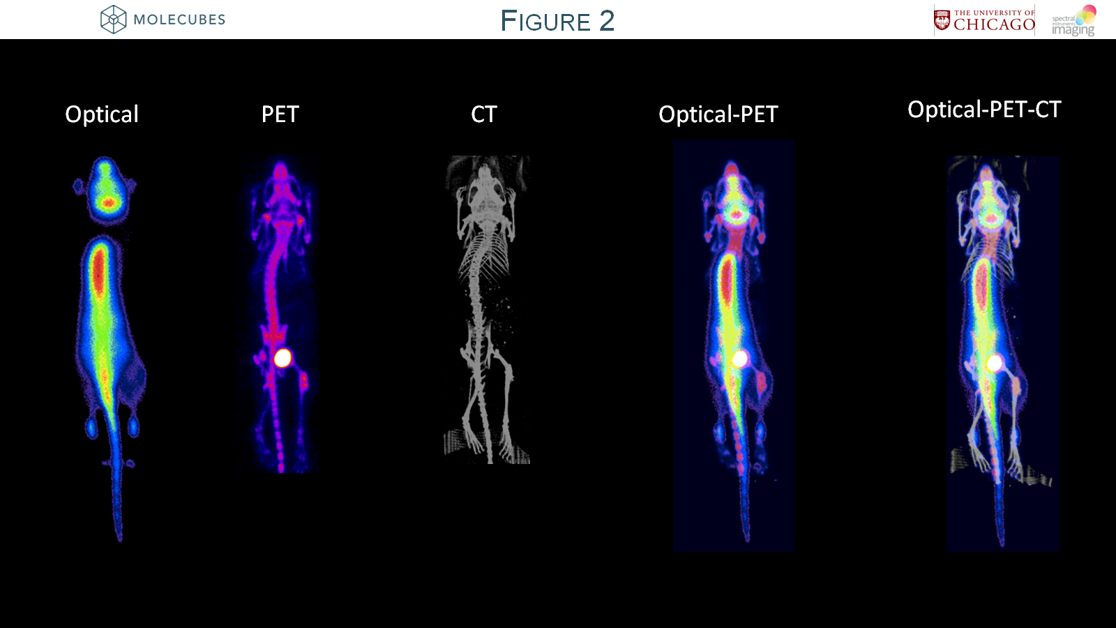 Optical-PET-CT.png Optical-PET-CT.png